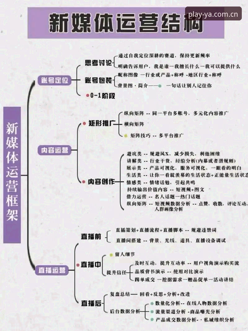 亚体育直播功能 揭秘亚体育直播功能背后的技术架构与用户真实体验